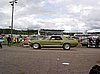 PickNick05_Mustang_mossgreen.JPG